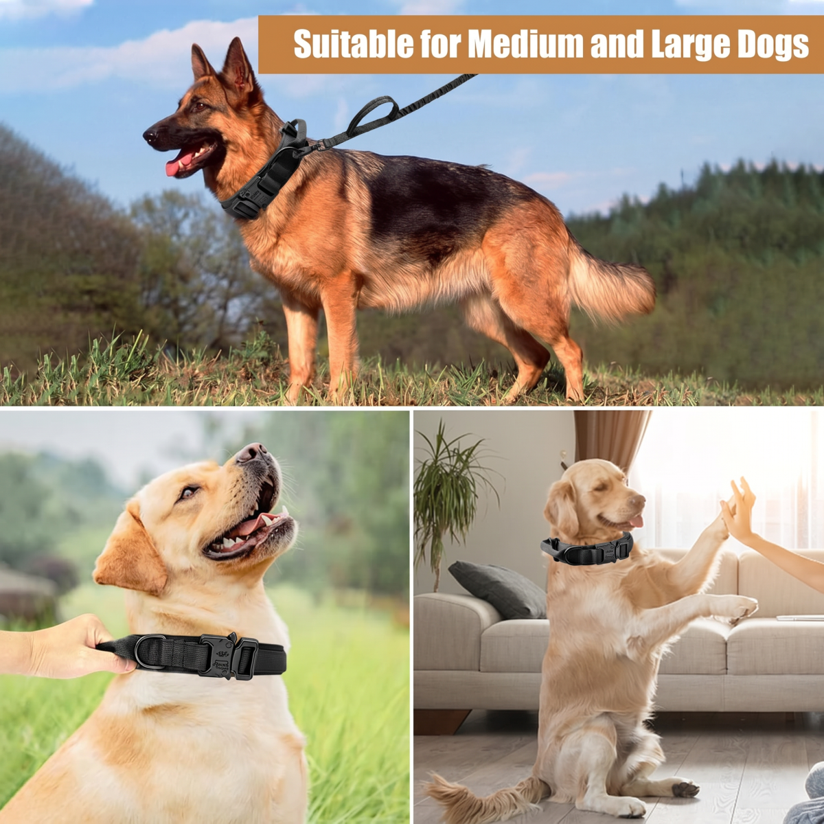 Taktisches Hundehalsband Set