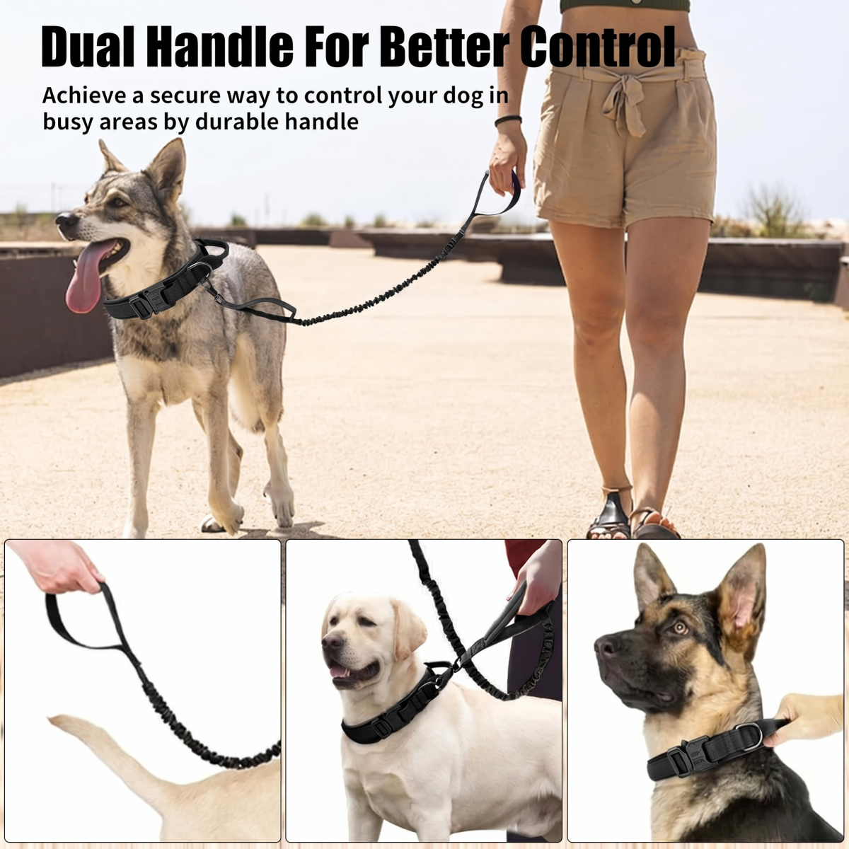 Taktisches Hundehalsband-Set Hauptbild